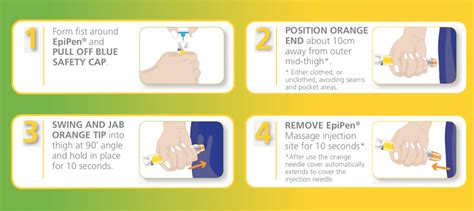 Epipen Printable Instructions