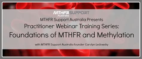 The Methylation Myths Mtr And Mtrr Mthfr Support Australia