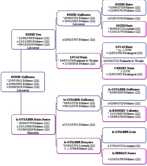 Larbre Généalogique Trame De Votre Généalogie