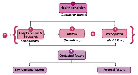 13 How Can The World Health Organizations Icf” Help Us Think About