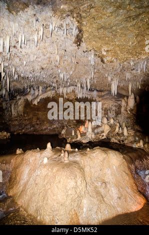 Limestone stalactites and stalagmites in Harrison's Cave, Barbados ...