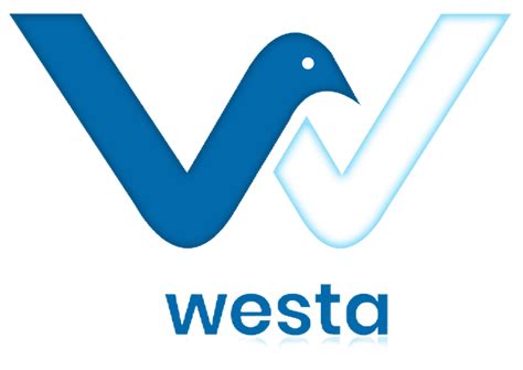 Anchor Rock Bolt - Westa Global