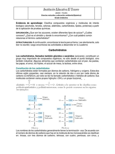 Taller Carbohidratos Ok Pdf Carbohidratos Glucosa