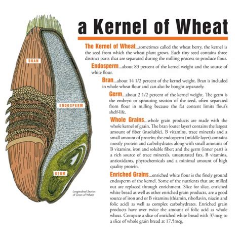 Make Half Your Servings Wholegrain Kansas Wheat Leaders In The