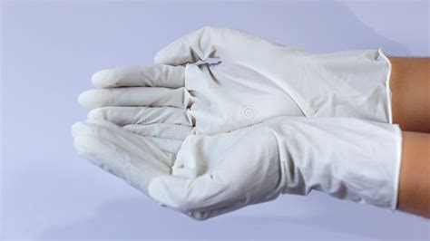 Female Doctor Wearing Medical Latex Gloves In Both Hands Together Stock