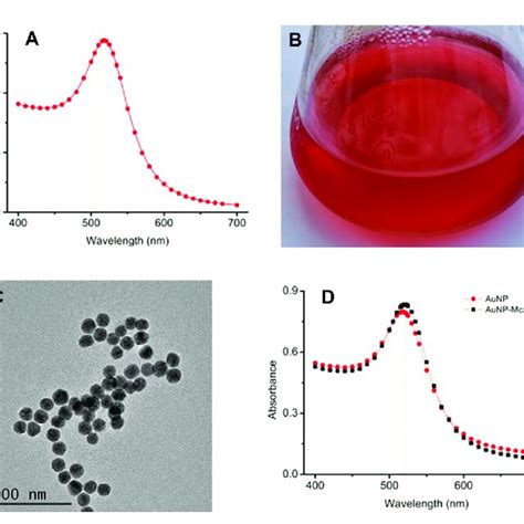 Preparation And Identification Of Gold Nano Particles AuNP A