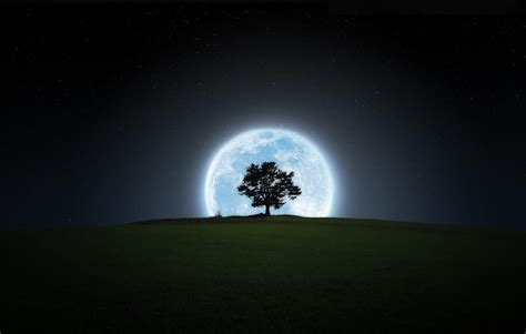 Dark Forest With Moon Wallpapers - Wallpaper Cave