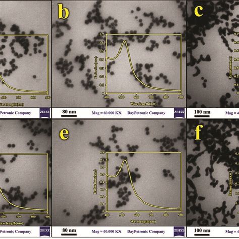 Tem Images And Uv Spectra Of A Gnps B Gnpslys C Gnpslyshg²⁺ Download Scientific