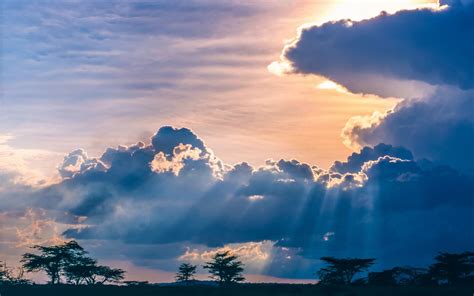 Silhouette Of Trees Under Cloudy Sky At Daytime Nature Landscape