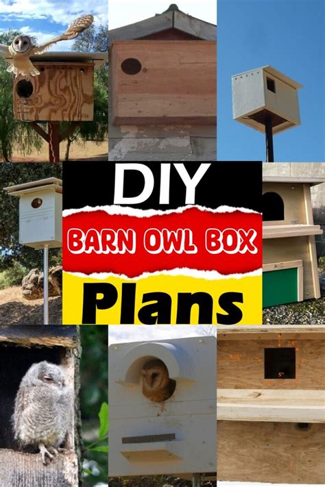 13 Free DIY Barn Owl Box Plans You Can Make Easily - DIYnCrafty