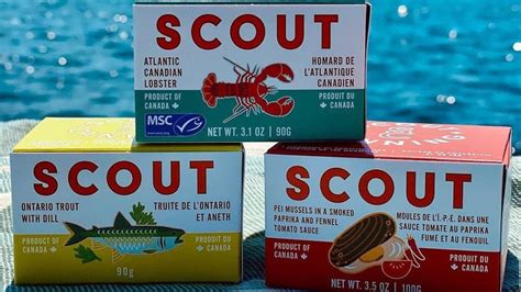 25 Upscale Canned Seafood Brands That Should Be On Your Radar