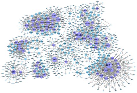 Personalized Analysis Of Breast Cancer Using Sample Specific Networks