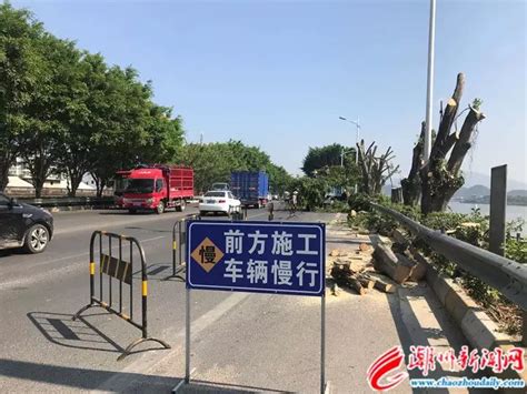 潮州市区10条道路绿化改造提升工程获点赞 “一路一树”提升城市整体品位