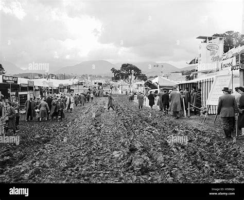 Royal welsh show history hi-res stock photography and images - Alamy