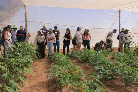 Segundo Encuentro Nacional de Agrosilviculturas Agroecológicas Urbanas