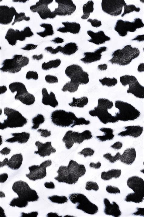 Cow pattern — Stock Photo © kwasny222 #30172579