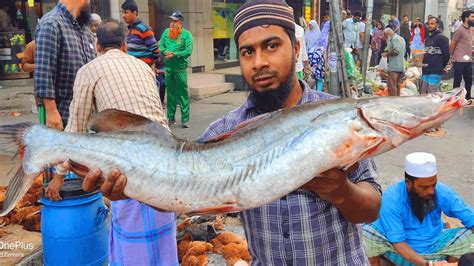 Incredible Big Size Ayer Fish Cutting Skills Bangladeshi Fish Market