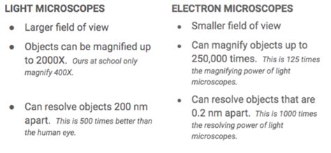 IB HL biology 1.2 pt 2 Flashcards | Quizlet 