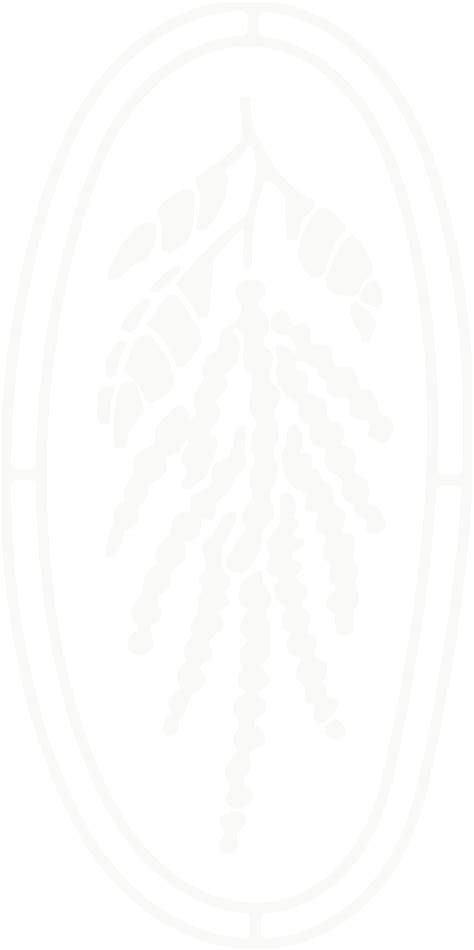 Love Notes | Amara in Belmont, CA