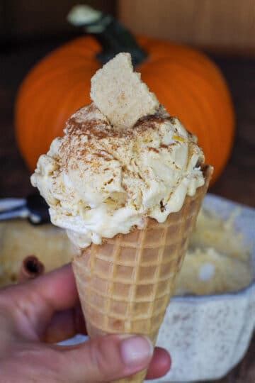 Pumpkin Pie Ice Cream No Churn Food Meanderings