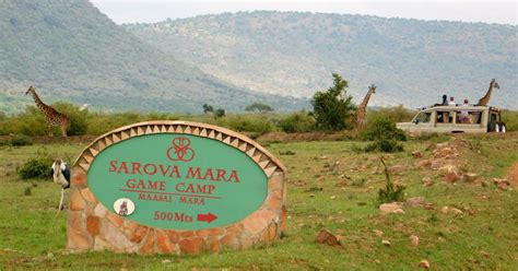 Sarova Mara Camp – Tailor Made Safari Holiday | Far and Wild Travel