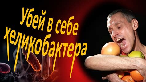 Хеликобактер: каждый второй заражен, антибиотики помогут не всем - YouTube