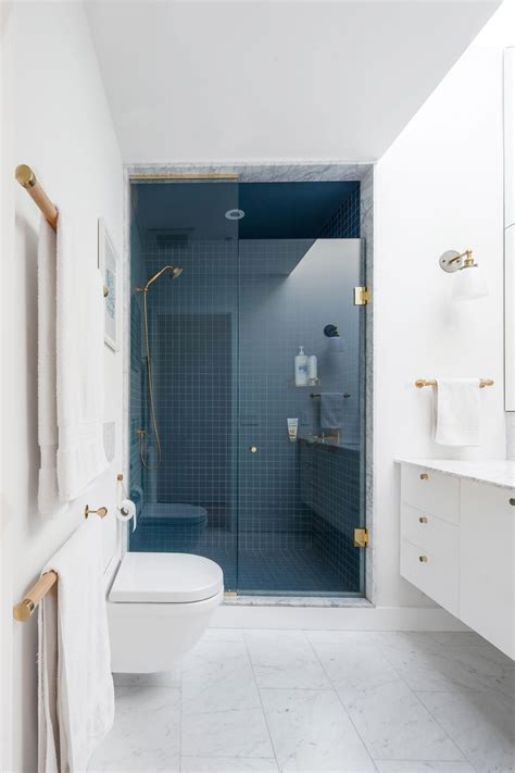 A Bathroom Skylight Lights Up a Loo | Designlines Magazine