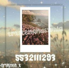 15 Bloxburg Polaroid Decal Codes Ideas Poloroid Pictures Roblox