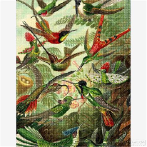 Trochilidae - Ernst Haeckel's Hummingbirds Diamond Painting Kit