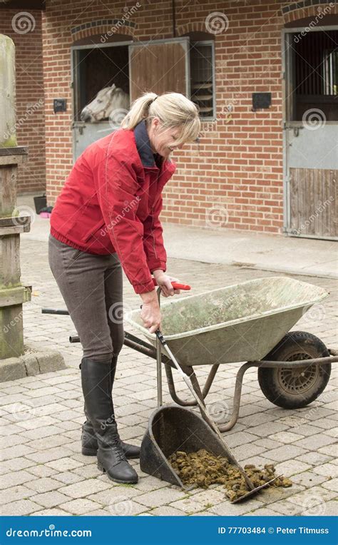 Woman Mucking Out In A Stable Yard Stock Photo Image Of Boots Dung