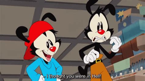 Animaniacs Cartoon Animaniacs Cartoon Wakko Discover Share GIFs