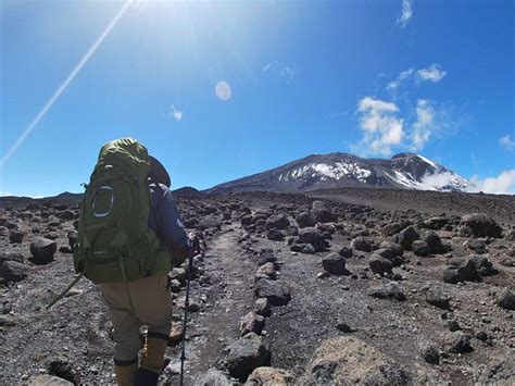 Exploring the High-Altitude Alpine Zones on Mount Kilimanjaro