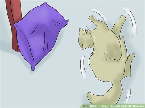 3 Ways to Help a Cat with Epileptic Seizures - wikiHow