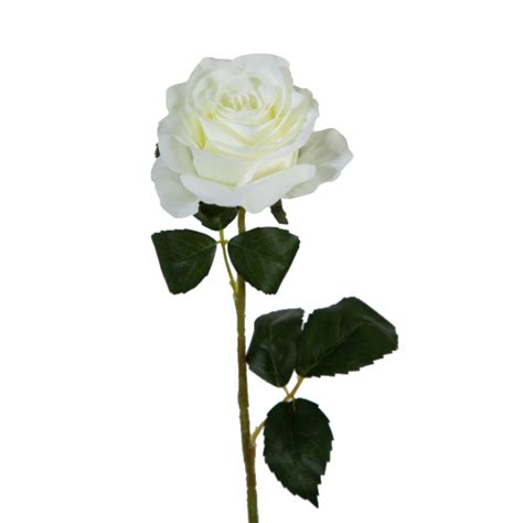 White Rose Flower - Curiosa Living - Lifestyle Furnishings