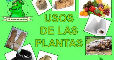 2015 Investigando Los Usos De Las Plantas