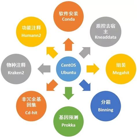 三天实现独立分析宏基因组数据 有参、无参和分箱等 Csdn博客