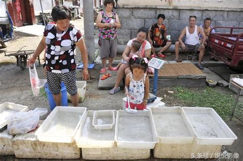 農村大集3歲萌娃幫奶奶擺地攤賣海鮮，能說會道招攬顧客很快賣光 每日頭條