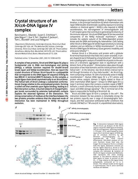 Pdf Crystal Structure Of An Xrcc Dna Ligase Iv Complex