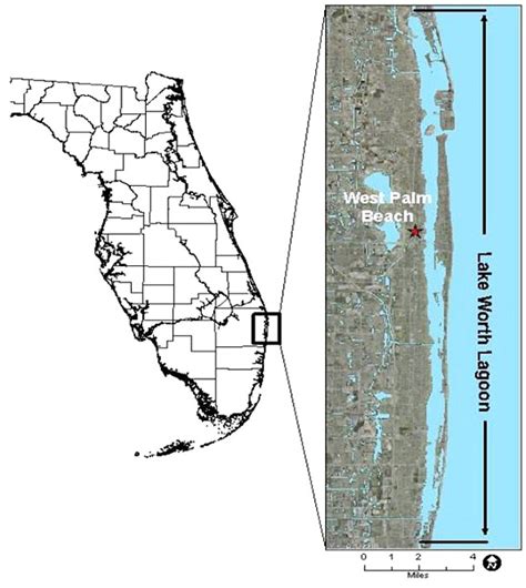 Lake Worth Lagoon – South Florida Aquatic Environments