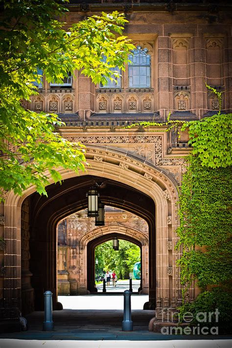 The Ivy Campus Princeton Photograph By Colleen Kammerer Fine Art