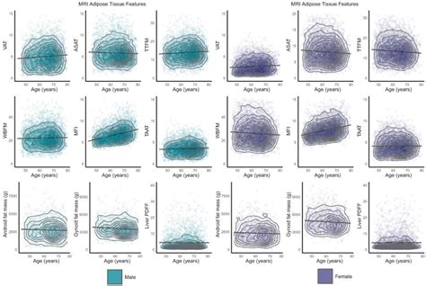 Sex Specific Body Fat Distribution Predicts Cardiovascular Ageing PMC