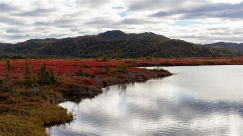 Car Hire in Stephenville, Newfoundland and Labrador - Search for car ...