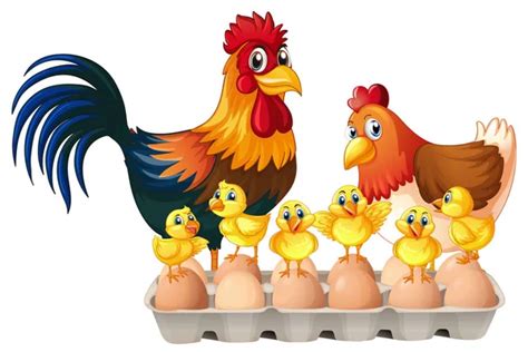 Six Hens Stock Vector Image By ©interactimages 38187625