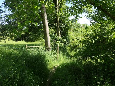 Lane Leaving Oaker Wood Richard Webb Geograph Britain And Ireland