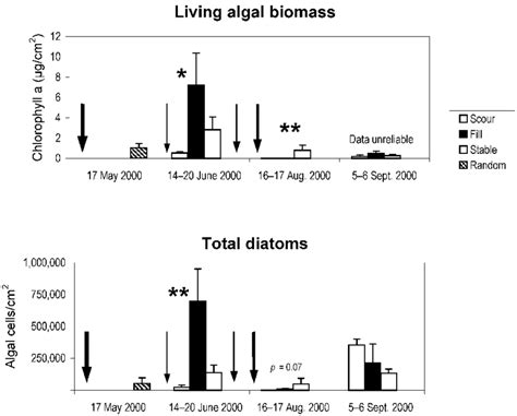 Living Algal Biomass And Total Diatom Density Se In Random