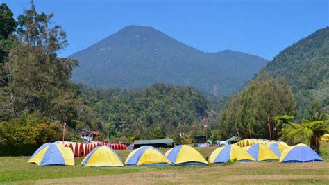 Mandalawangi Camping Ground Cibodas Harga Paket Lokasi