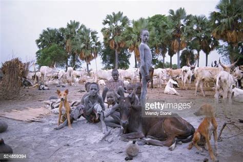 Southern Sudan Bahr El Ghazal Province Dinka Cattle Camps Dinka