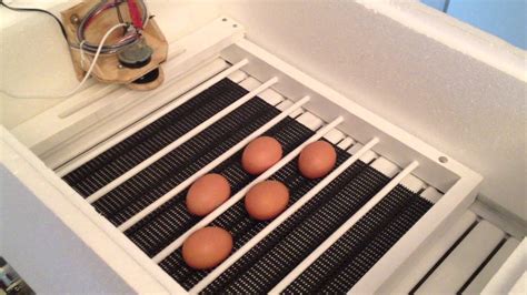 Chicken Incubator Egg Turner Egg Incubator