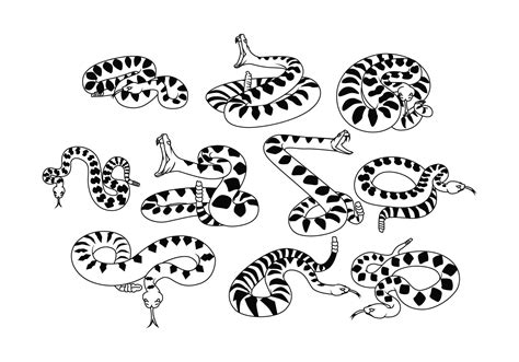 Free Rattlesnake Vector 129701 Vector Art At Vecteezy