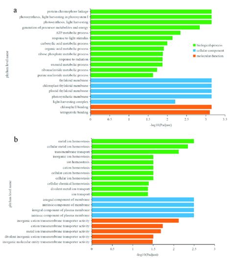 Gene Ontology Go Enrichment Analysis Of Differentially Expressed Download Scientific Diagram